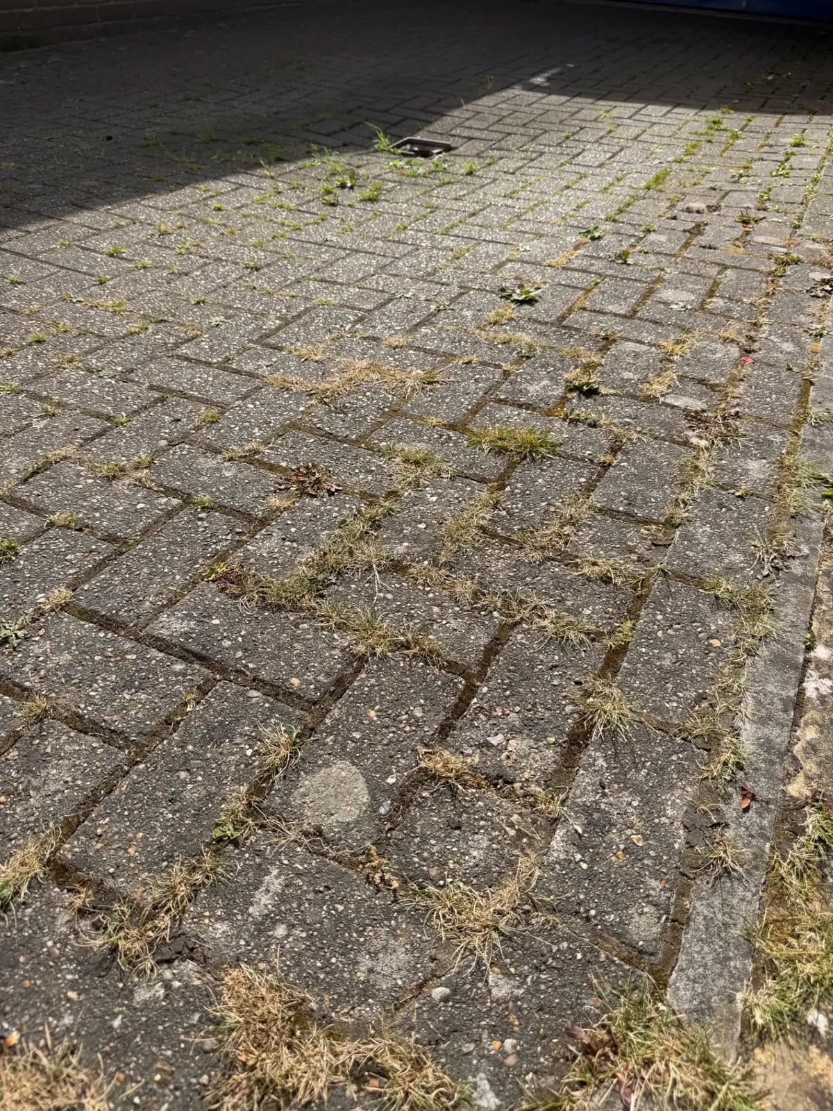 Patio area