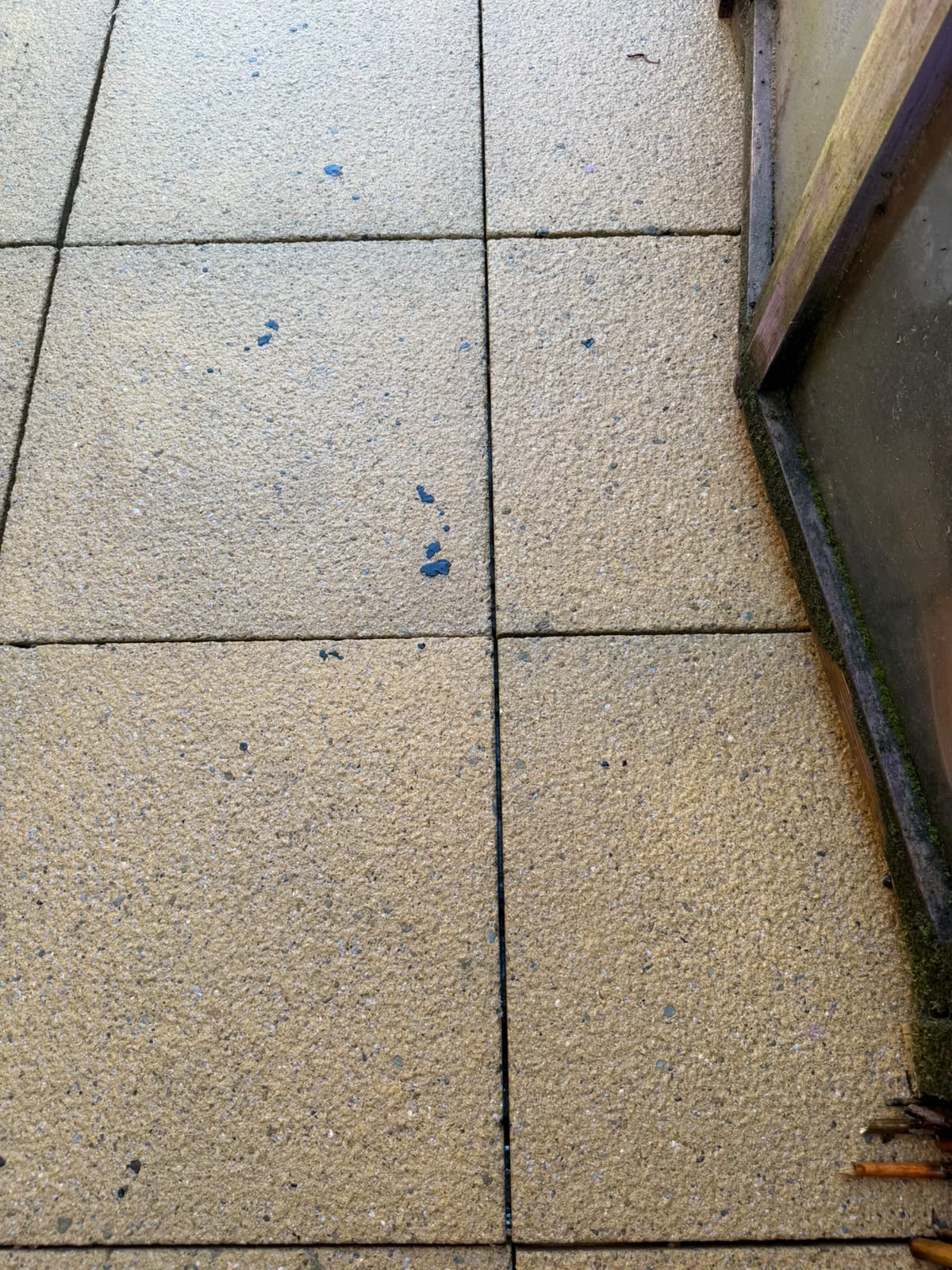 Matching paved garden path after cleaning, with some permanent spots still visible on the slabs
