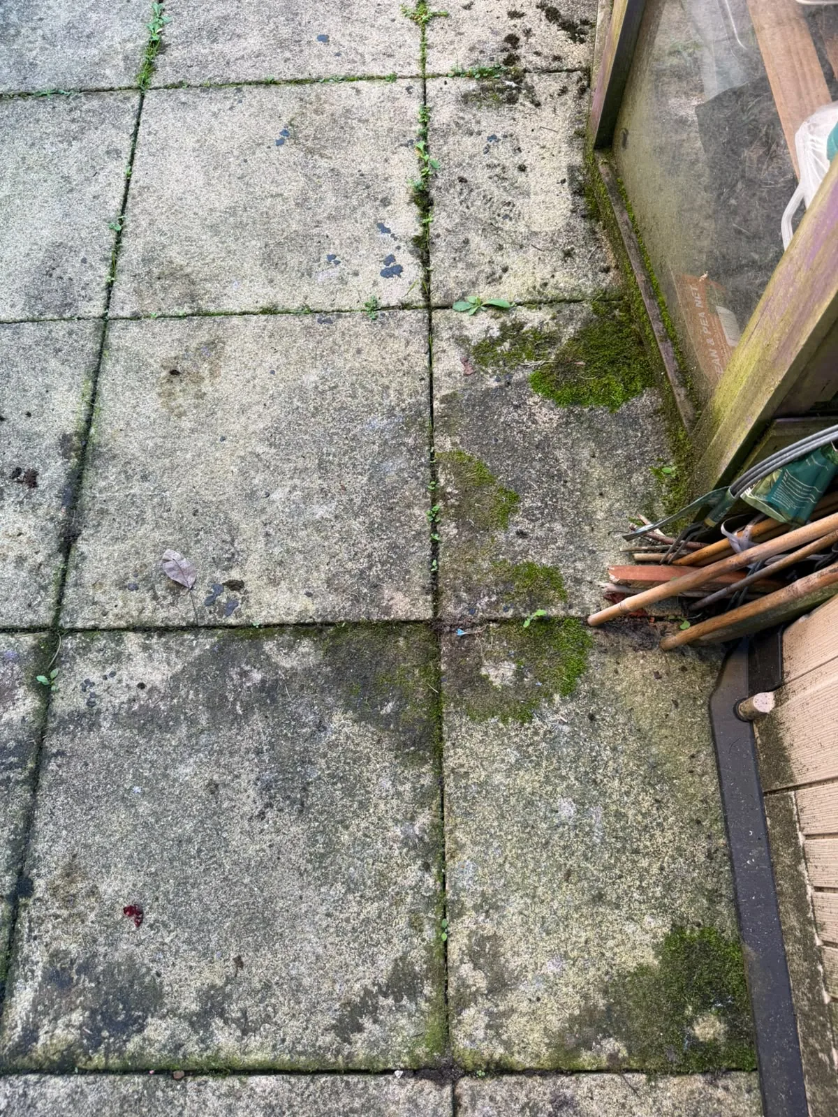 Paved garden path beside a shed and greenhouse before cleaning, with moss, weeds and dark spots on the slabs